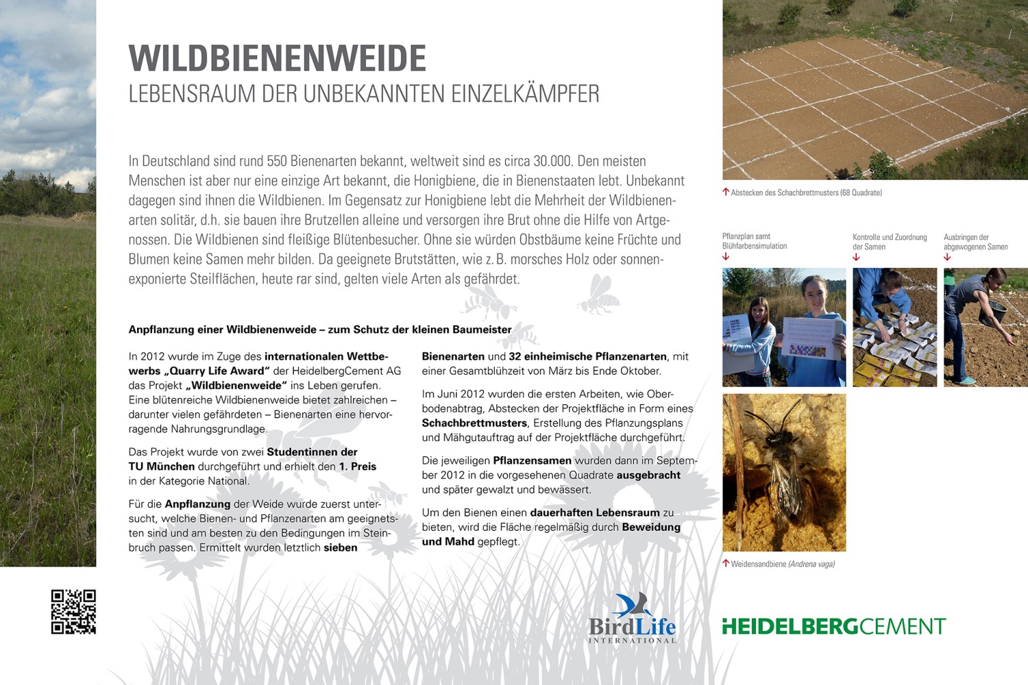 In 2012 wurde im Zuge des internationalen Wettbewerbes "Quarry Life Award" das Projekt "Wildbienenweide" ins Leben gerufen".