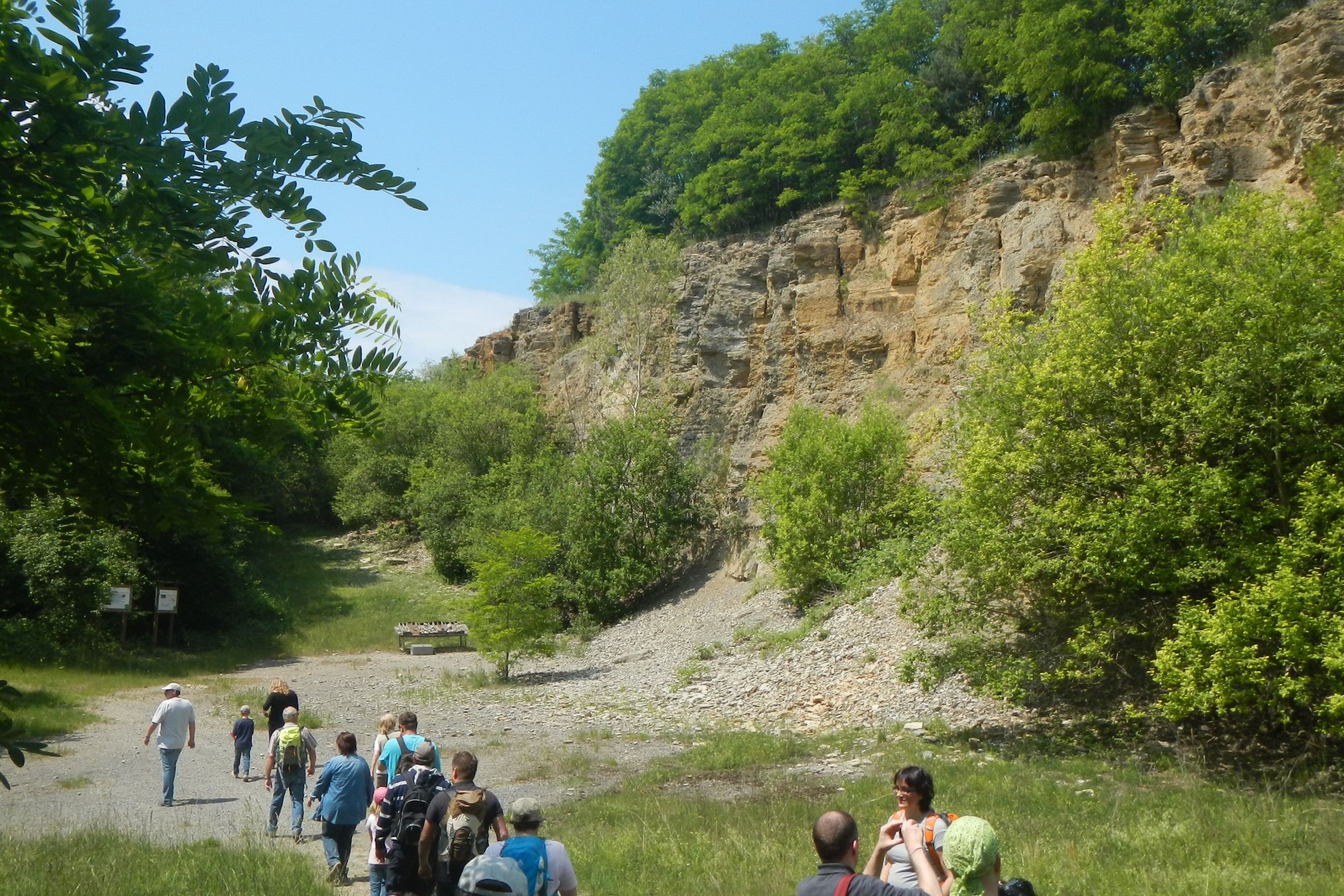 Der Naturlehrpfad im Steinbruch Nußloch zeigt auf anschauliche Weise, wie wirtschaftliche und ökologische Interessen sowohl neben- als auch miteinander auf hervorragende Weise existieren können.