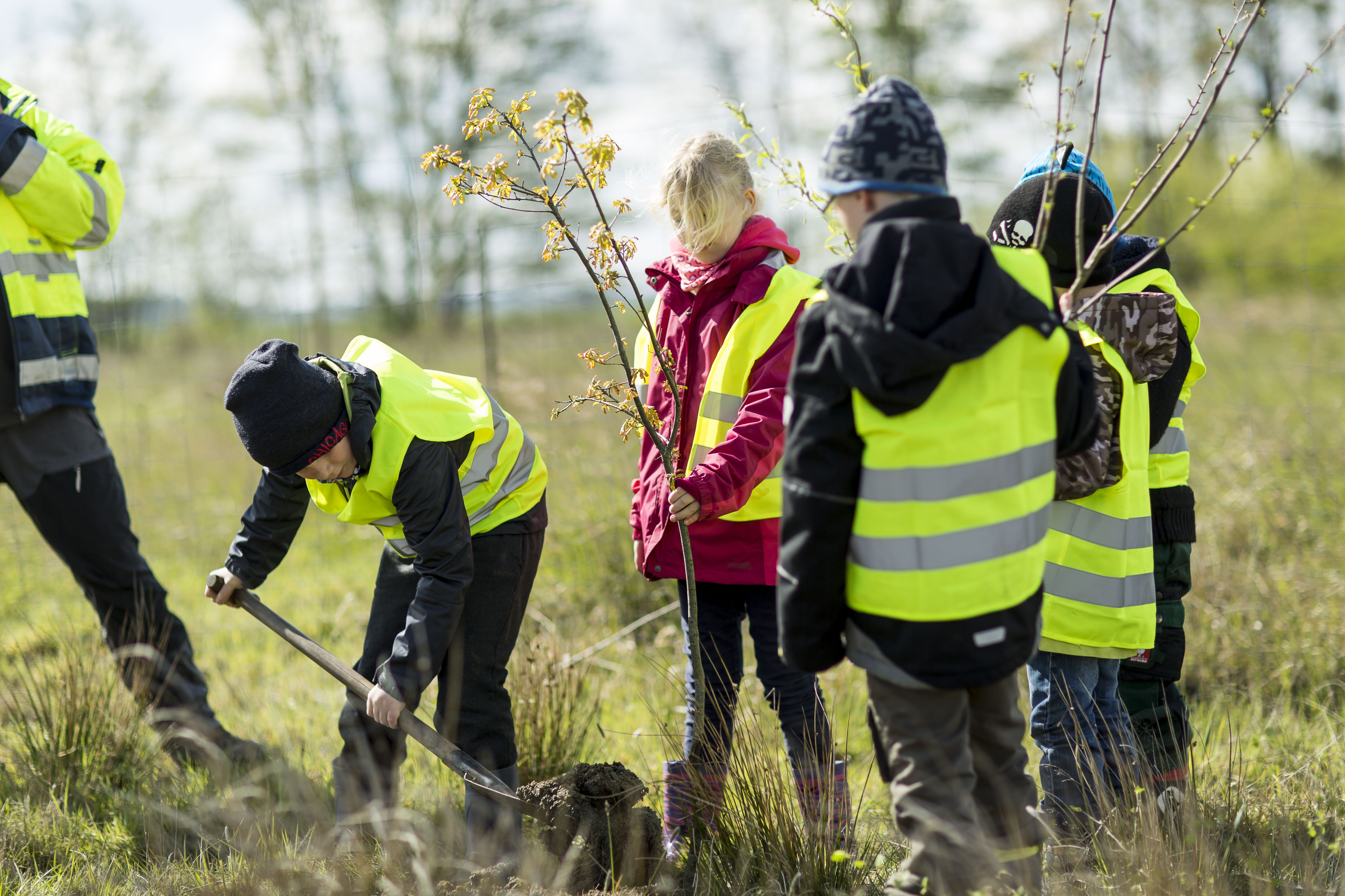 m Rahmen des Forschungswettbewerbs „Quarry Life Award“ der HeidelbergCement AG wurde das Projekt zur Förderung der Insekten- und Pflanzenvielfalt in der Kiesgrube Dixförda, Werk Elster-Kies der Heidelberger Sand und Kies GmbH ins Leben gerufen.