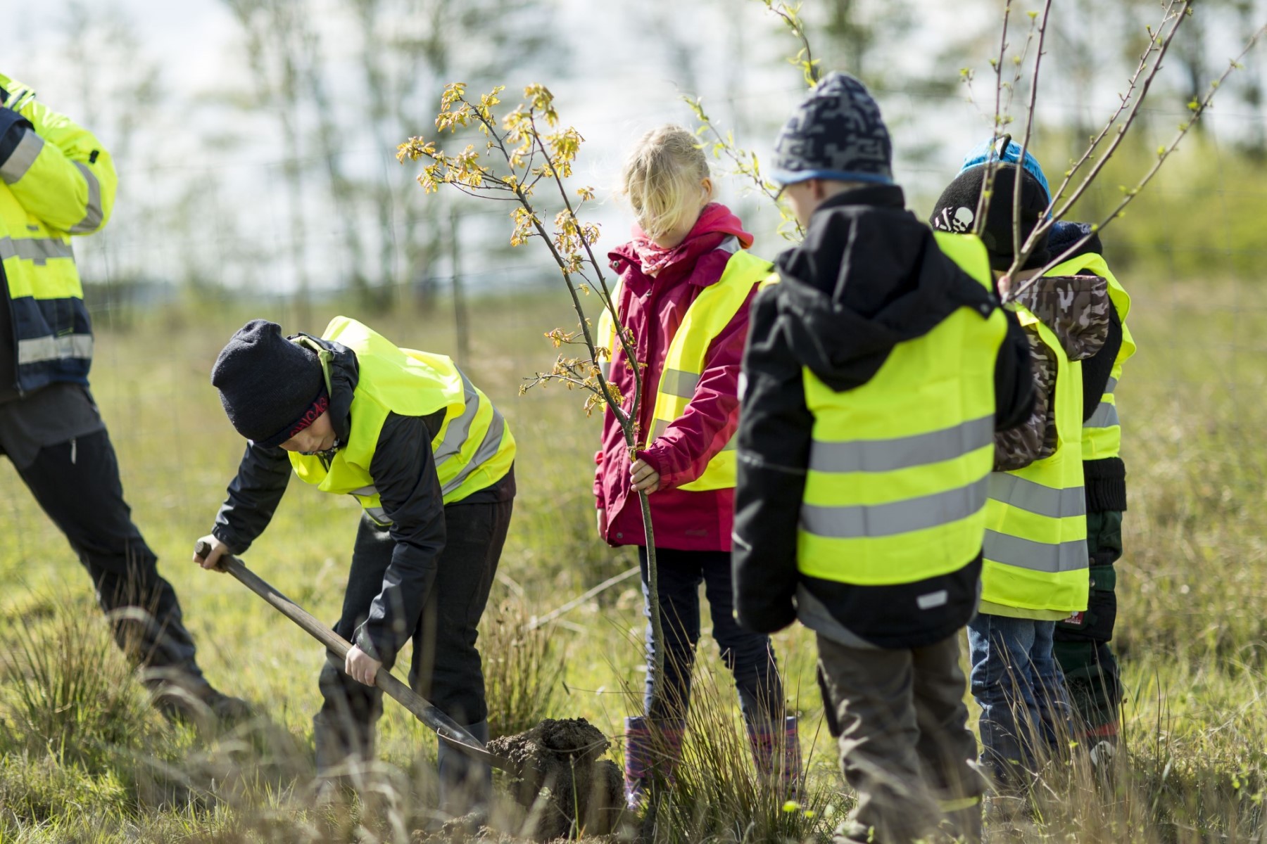 Im Rahmen des Forschungswettbewerbs „Quarry Life Award“ der HeidelbergCement AG wurde das Projekt zur Förderung der Insekten- und Pflanzenvielfalt in der Kiesgrube Dixförda, Werk Elster-Kies der Heidelberger Sand und Kies GmbH ins Leben gerufen.