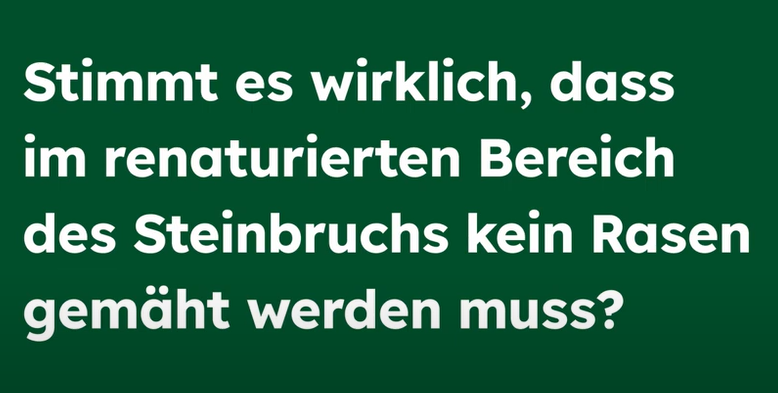 Rasenmähen adé So sieht die Renaturierung aus