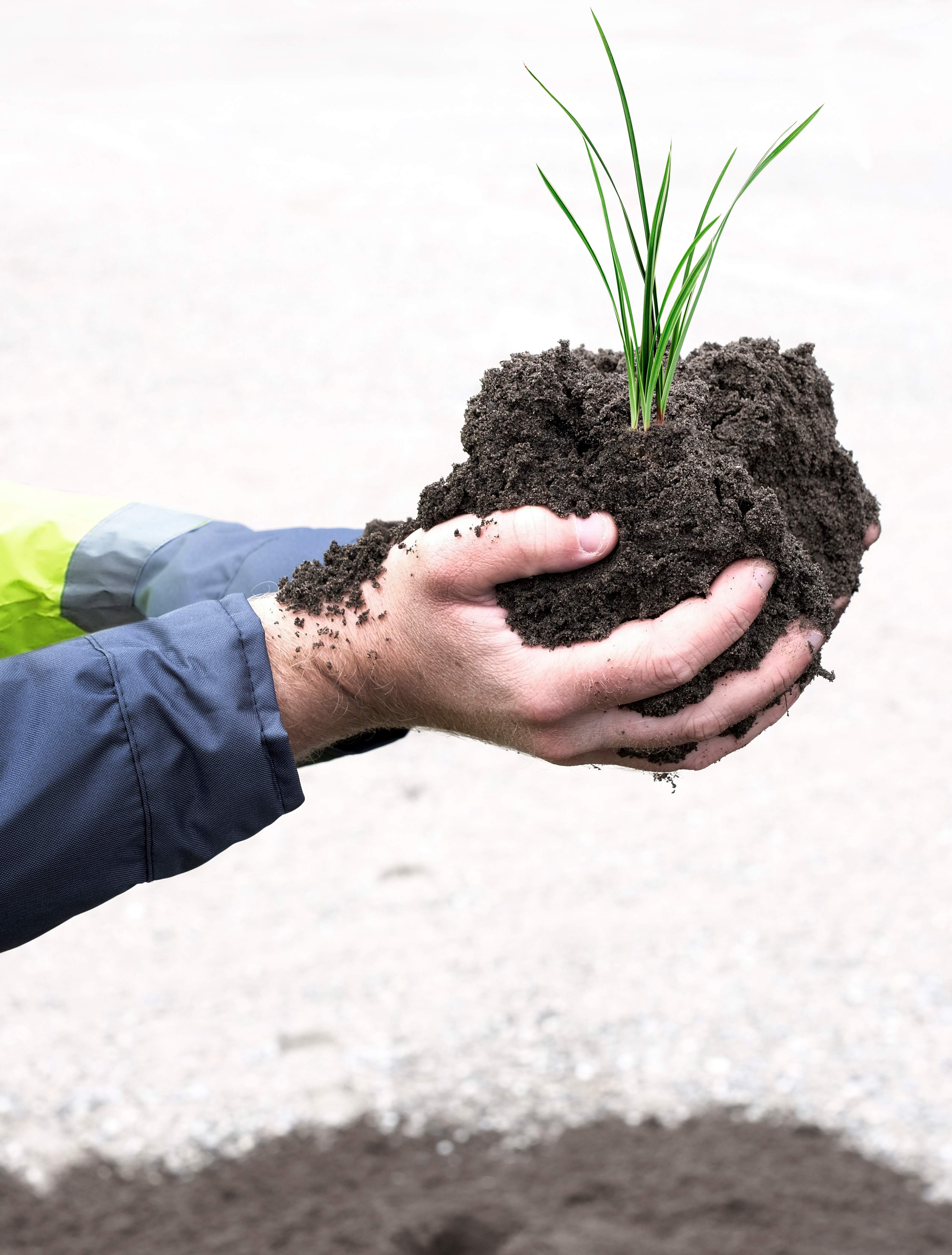 PowerGrow RT enthält keine organischen Bestandteile und ist somit samen- und unkrautfrei. Dadurch ist es äußerst unwahrscheinlich, dass nach dem Einsäen neben dem Rasen auch Unkraut wächst.