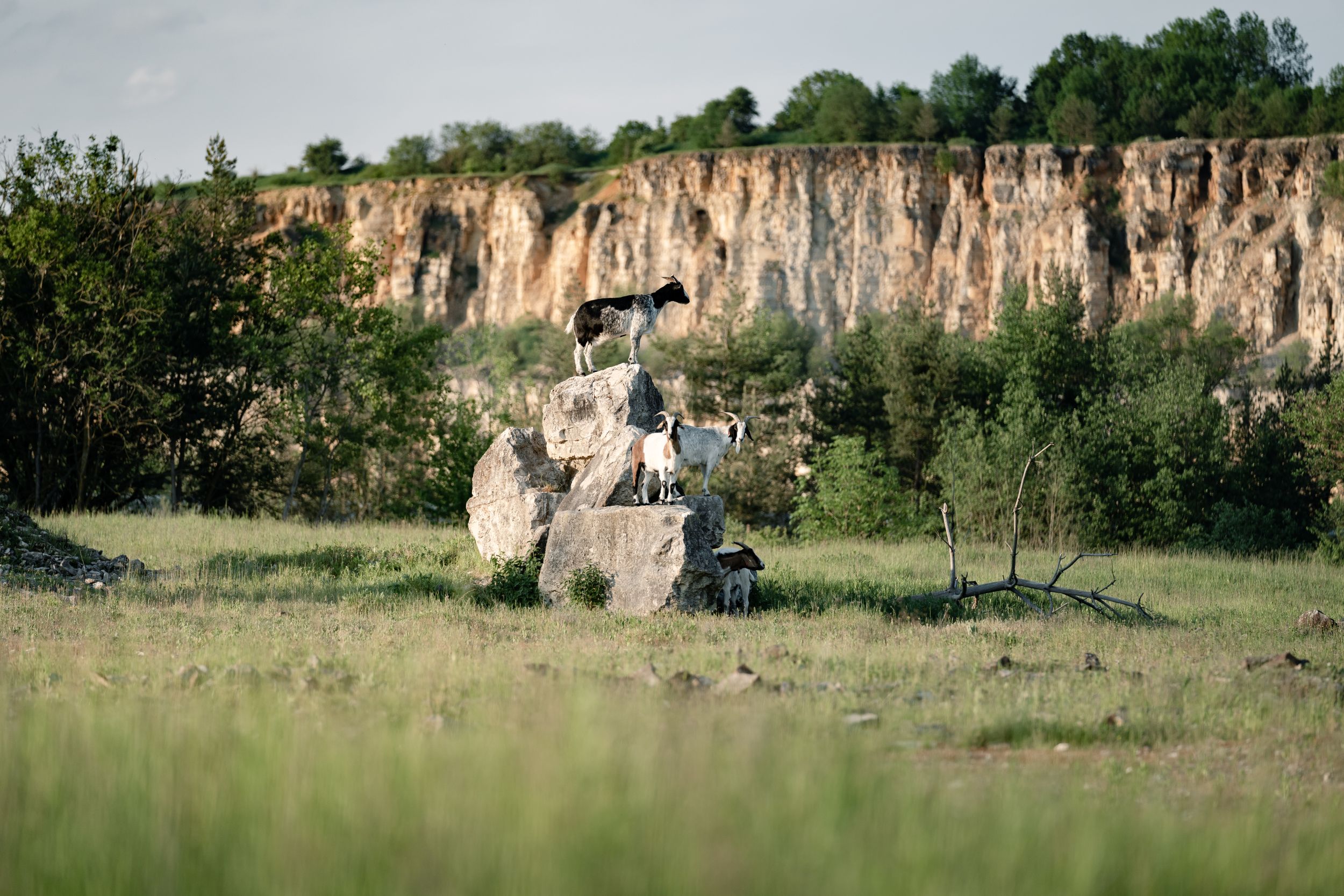 Steinbruchlandschaft mit hohem, steilem Felsmassiv im Hintergrund und einer zusammengesetzten Felsformation in der Mitte.