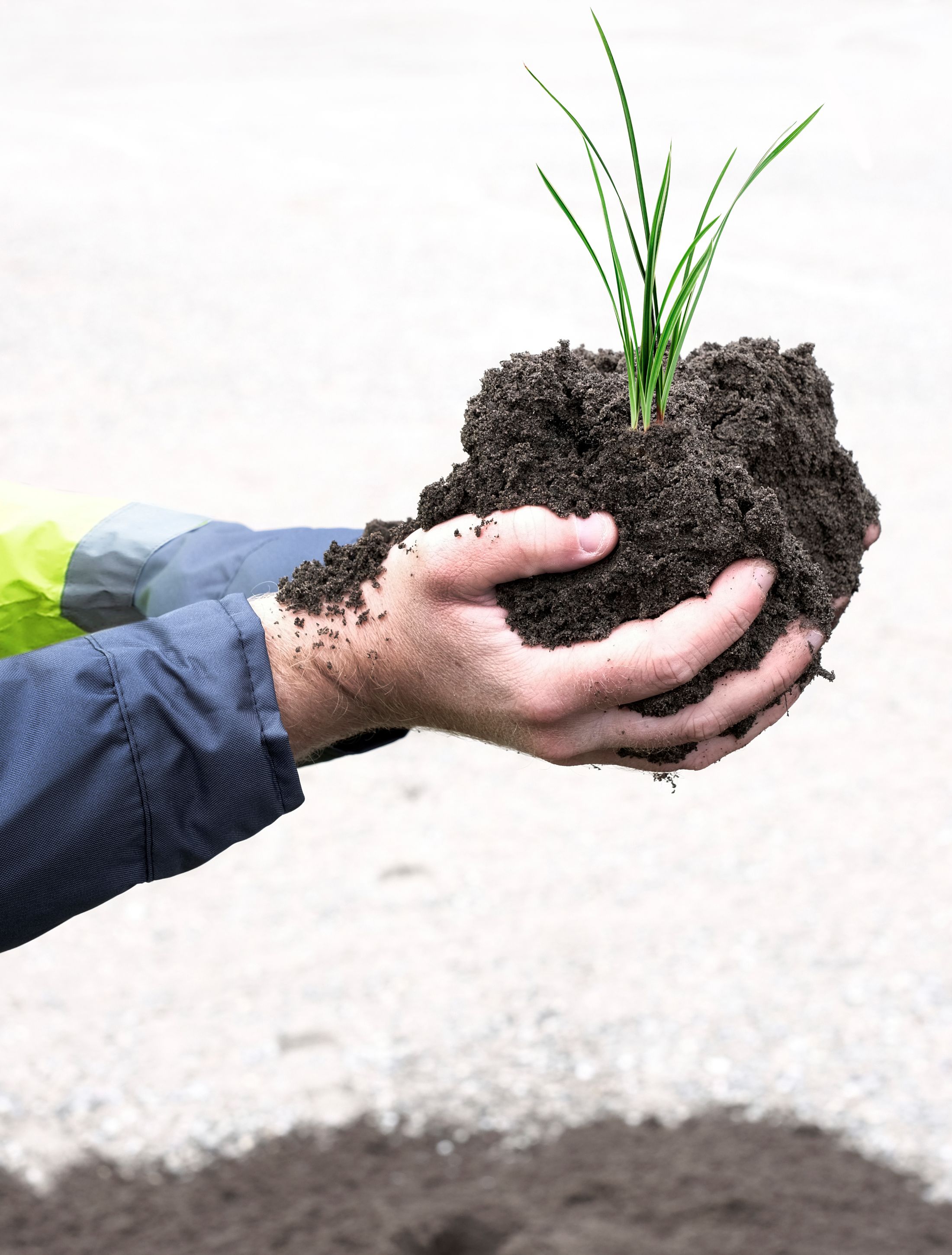 Hände halten einen Erdhaufen mit grünem Sprössling, symbolisch für Gartenlandschaftsbau.