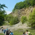 Der Naturlehrpfad im Steinbruch Nußloch zeigt auf anschauliche Weise, wie wirtschaftliche und ökologische Interessen sowohl neben- als auch miteinander auf hervorragende Weise existieren können.