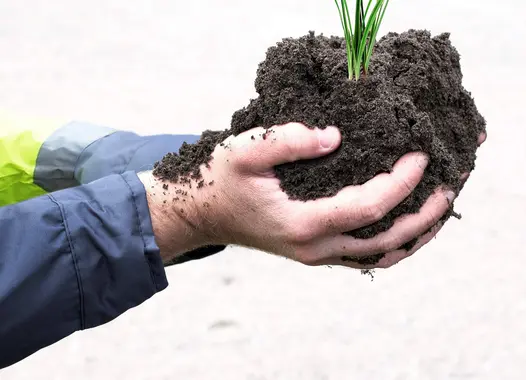 PowerGrow RT enthält keine organischen Bestandteile und ist somit samen- und unkrautfrei. Dadurch ist es äußerst unwahrscheinlich, dass nach dem Einsäen neben dem Rasen auch Unkraut wächst.